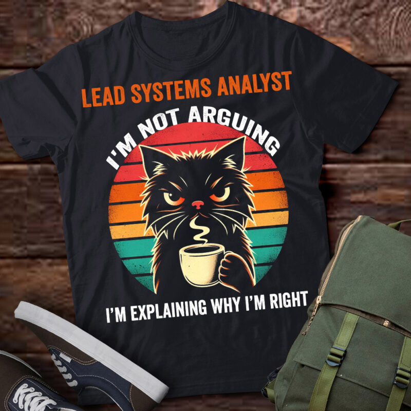 LT202 Lead Systems Analyst I’m Not Arguing I’m Explaining Why I’m Right