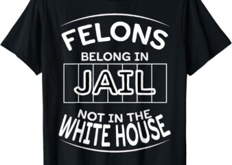 Political Pro Biden Felons Belong In Jail Not White House T-Shirt