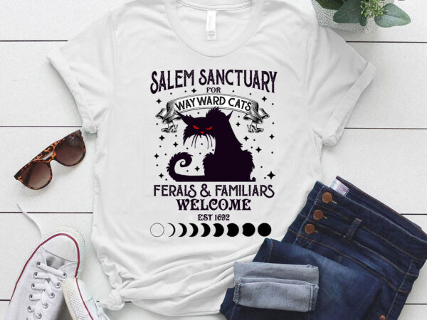 Salem sanctuary, salem witch, wayward cats ltsd t shirt template vector
