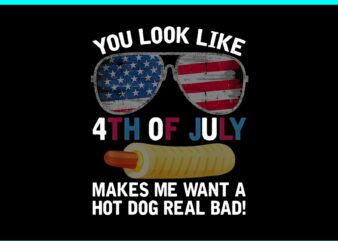 You look like 4th of July Makes me Want A hot Dog Real Bad PNG t shirt design template