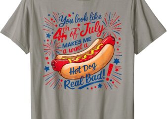 You Look Like 4Th Of July Makes Me Want A Hotdog Real Bad T-Shirt