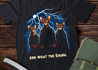 LT-P2.1 Funny Erm The Sigma Ironic Meme Quote Abyssinian Cats