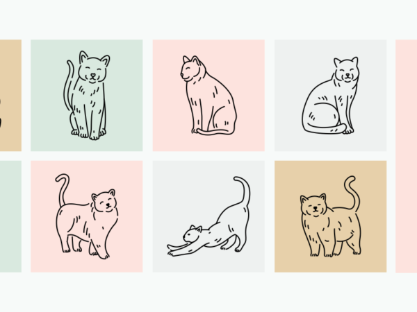 Cute cats with different poses expressions and emotions monoline vector illustration