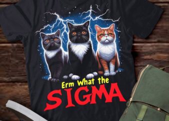 LT-P2.1 Funny Erm The Sigma Ironic Meme Quote Exotic Shorthair Cats