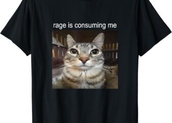 Rage Is Consuming Me Silly Staring Cat Meme T-Shirt