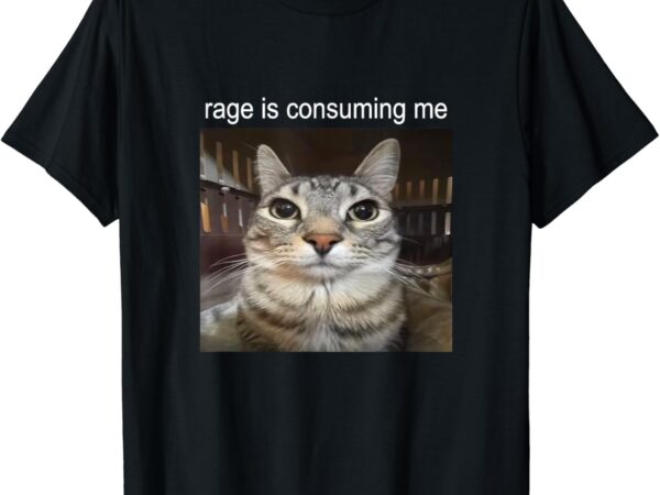 Rage is consuming me silly staring cat meme t-shirt