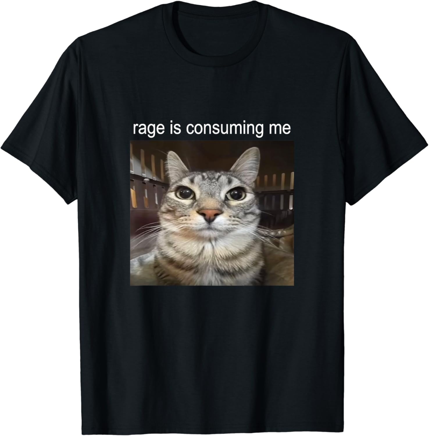 Rage Is Consuming Me Silly Staring Cat Meme T-Shirt - Buy t-shirt designs