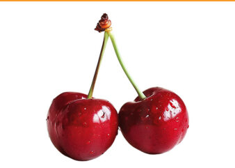 Cherries Cherry PNG