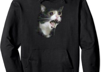 Dank Meme Trending Sad Crying Cat Sauce Cute Gift Funny Pullover Hoodie