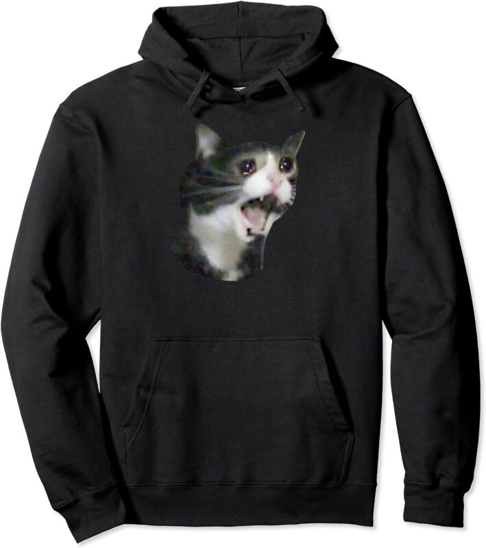 Dank Meme Trending Sad Crying Cat Sauce Cute Gift Funny Pullover Hoodie