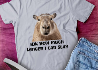 Idk How Much Longer I Can Slay Capybara Funny Gift lts-d t shirt design for sale