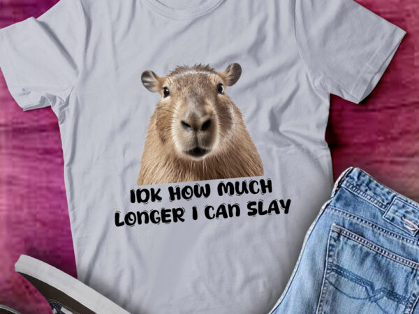 Idk how much longer i can slay capybara funny gift lts-d t shirt design for sale