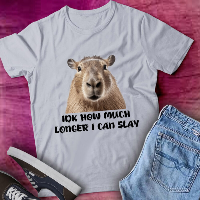 Idk How Much Longer I Can Slay Capybara Funny Gift lts-d