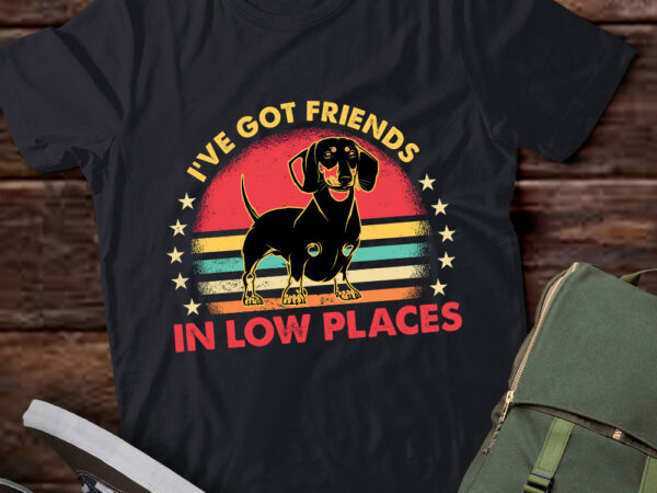 I’ve got friends in low places vintage dachshund dog gift lts-d t shirt design for sale