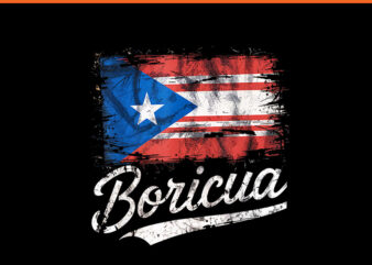 Boricua Puerto Rican Flag Pride Culture Heritage PNG