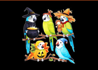 Parakeets In Costumes Fall Season Halloween PNG