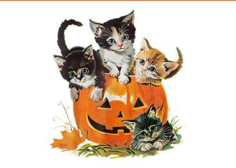 Vintage 90s Cat Pumpkin Halloween PNG, Floral Spooky Season PNG