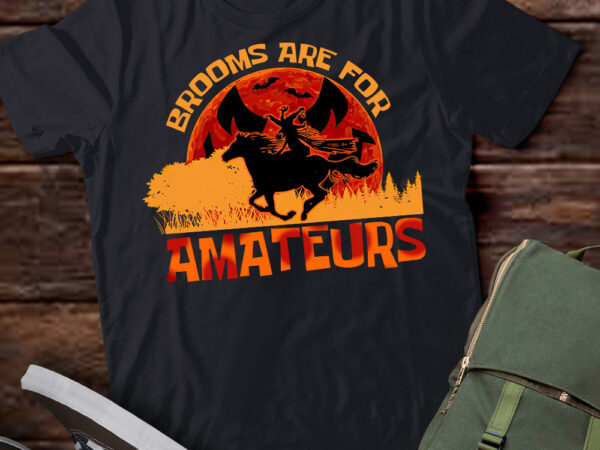 Vintage brooms are for amateurs halloween horse riding t-shirt ltsp