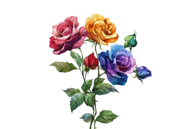 Watercolor Bunch of Rainbow Roses Clipart