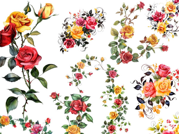 Watercolor black red yellow pink roses vine clipart t shirt design for sale