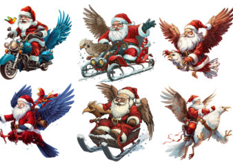 santa claus ride in cartoon bird without snow