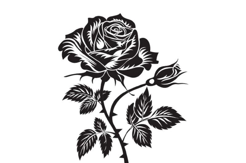 silhouette rose flower