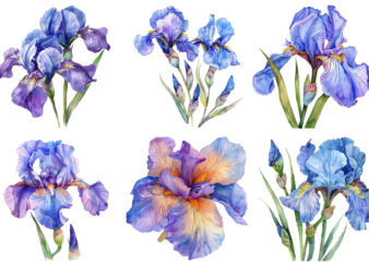 watercolor Iris flower t shirt design for sale