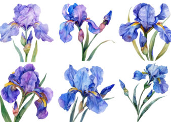 watercolor Iris flower t shirt design for sale