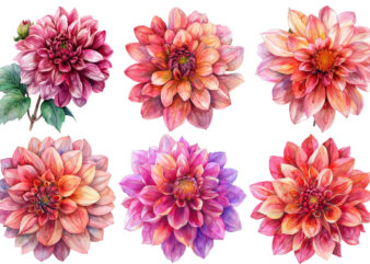 watercolor Dahlia clipart t shirt design for sale