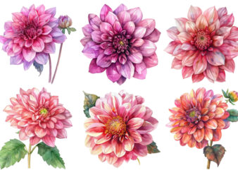 watercolor Dahlia clipart