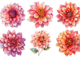 watercolor Dahlia clipart t shirt design for sale