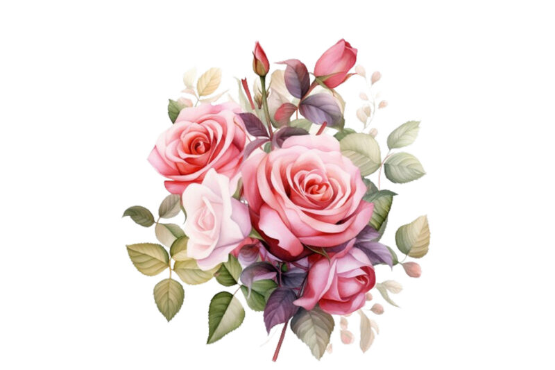 watercolor beautiful rose bouquet romantic flower