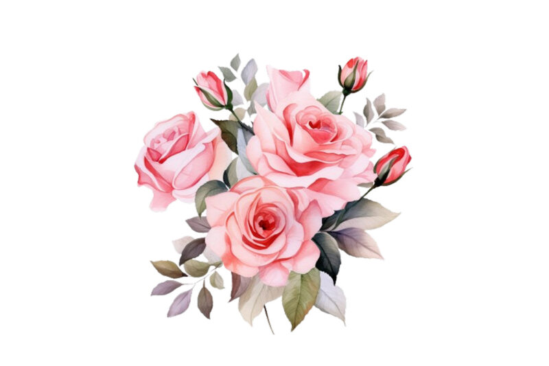 watercolor beautiful rose bouquet romantic flower