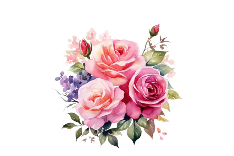 watercolor beautiful rose bouquet romantic flower