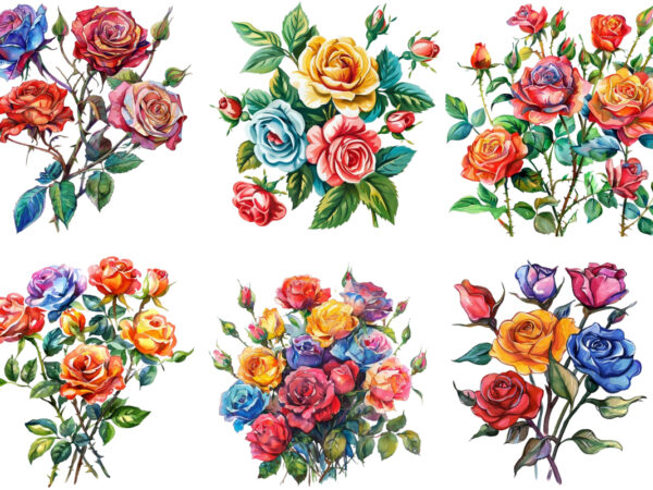 Watercolor colourful bunch of spiring roses clipart t shirt design for sale