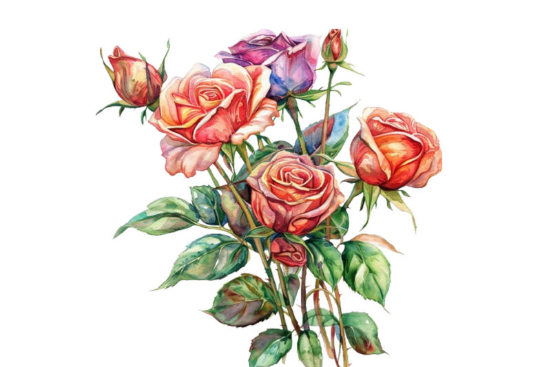 watercolor colourful bunch of spiring roses wedding