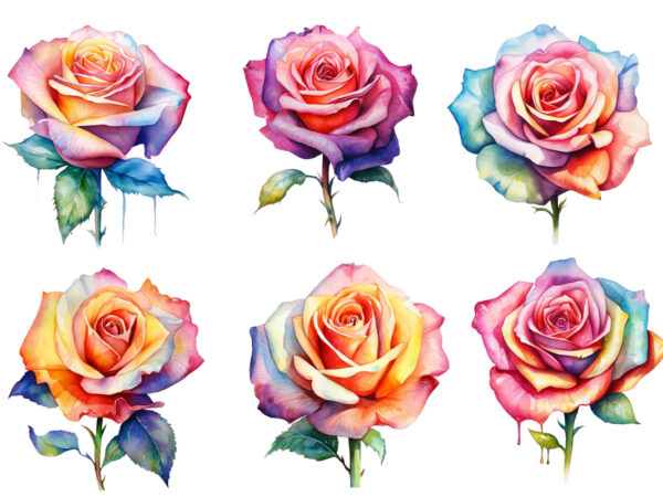 Watercolor colourfull rose t shirt design for sale