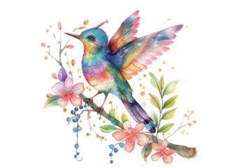 watercolor fairy bird clipart