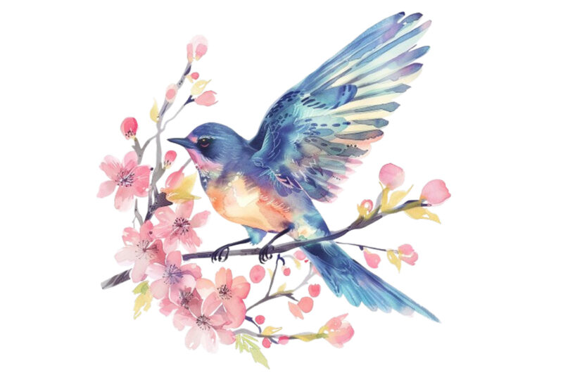 watercolor fairy bird clipart