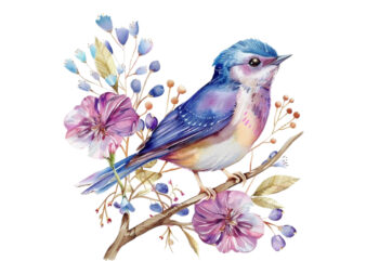 watercolor fairy bird clipart