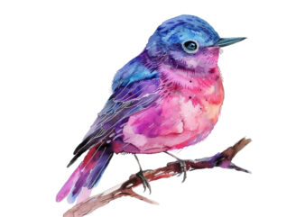 watercolor fairy bird clipart