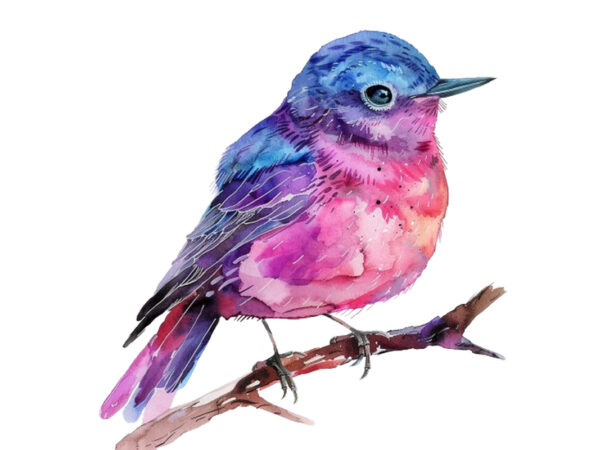 Watercolor fairy bird clipart t shirt design for sale