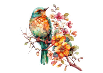 watercolor fairy bird clipart