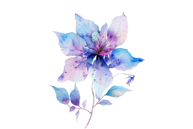 watercolor fairy flower clipart