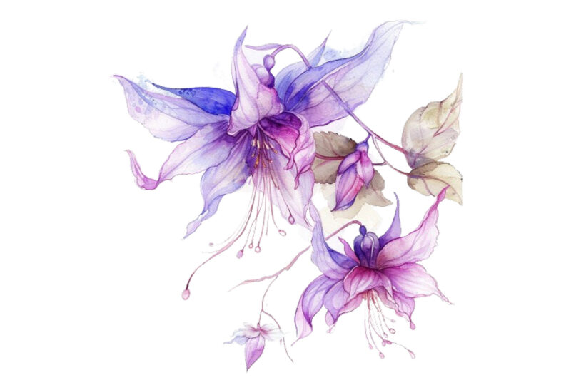 watercolor fairy flower clipart