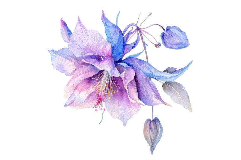 watercolor fairy flower clipart