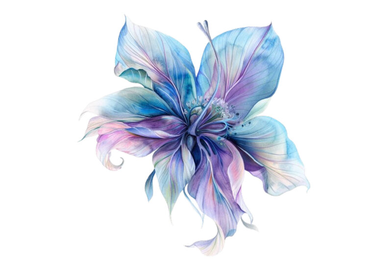 watercolor fairy flower clipart