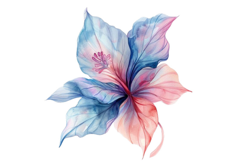 watercolor fairy flower clipart