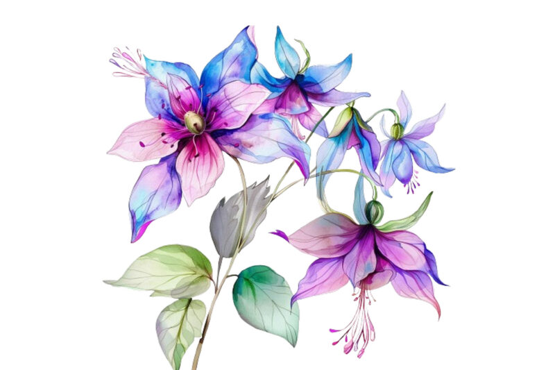 watercolor fairy flower clipart