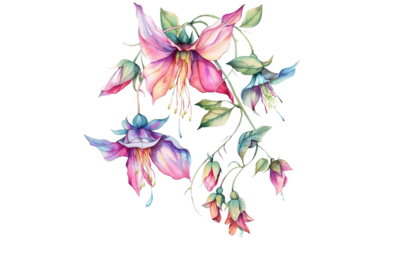 watercolor fairy flower clipart